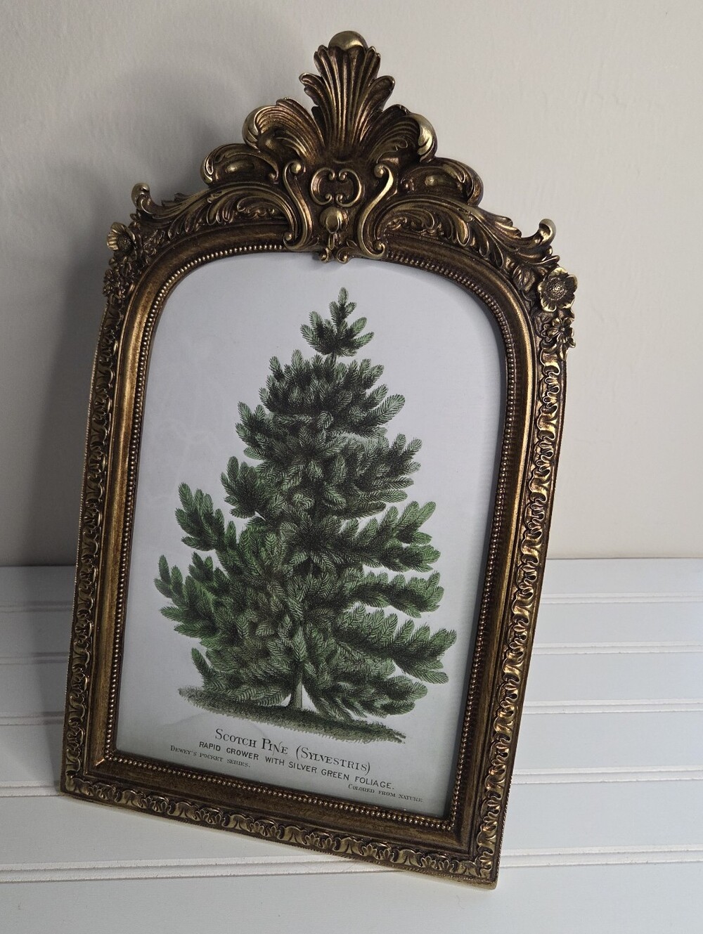 Kirklands Gold Picture Frame Pine Tree Art Desctop Picture